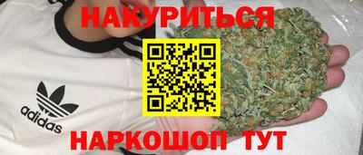 прущие грибы Усть-Джегута