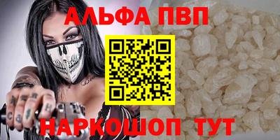 прущие грибы Усть-Джегута