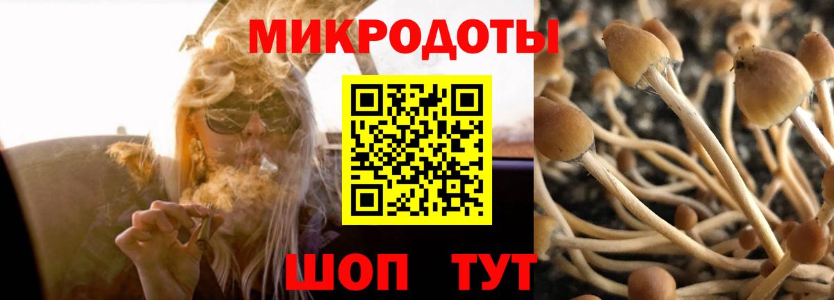 Галлюциногенные грибы мицелий  Галлюциногенные грибы прущие грибы  Ачинск  Вход с VPN 